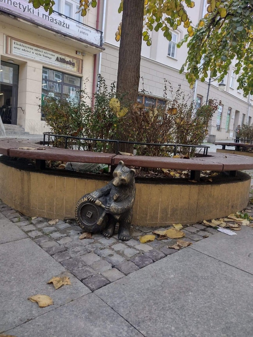 Pierwsze figurki niedźwiadków pojawiły się na ulicach...