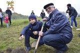 Gorzów: to się w głowie nie mieści. Ludzie zasadzili drzewa, a miasto je wycięło. Czytelnicy są oburzeni [GALERIA, WIDEO]