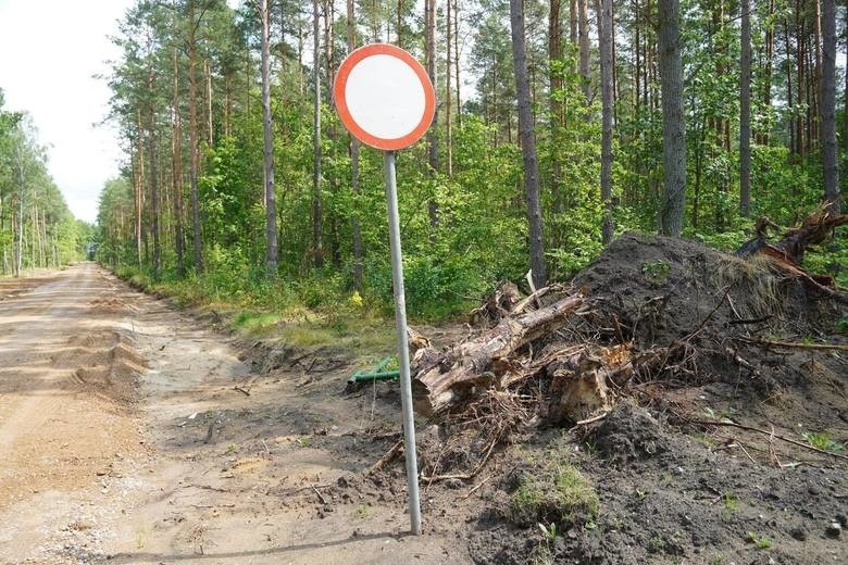 Lasy Państwowe wprowadziły tymczasowy zakaz wstępu do lasów na terenie całego kraju [ZDJĘCIA]