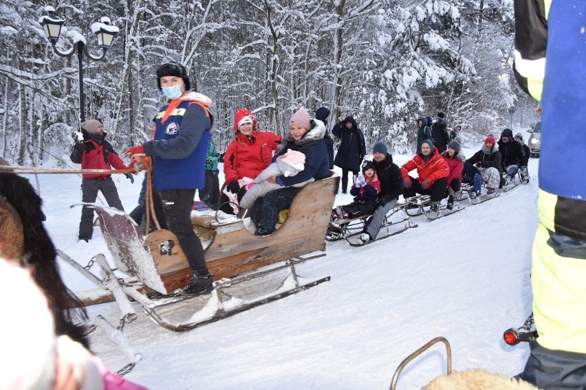 Tak wyglądają w tym roku kuligi na Kaszubach! Zimowa zabawa z restrykcjami. Ile kosztuje kulig i jak wygląda w dobie pandemii koronawirusa?