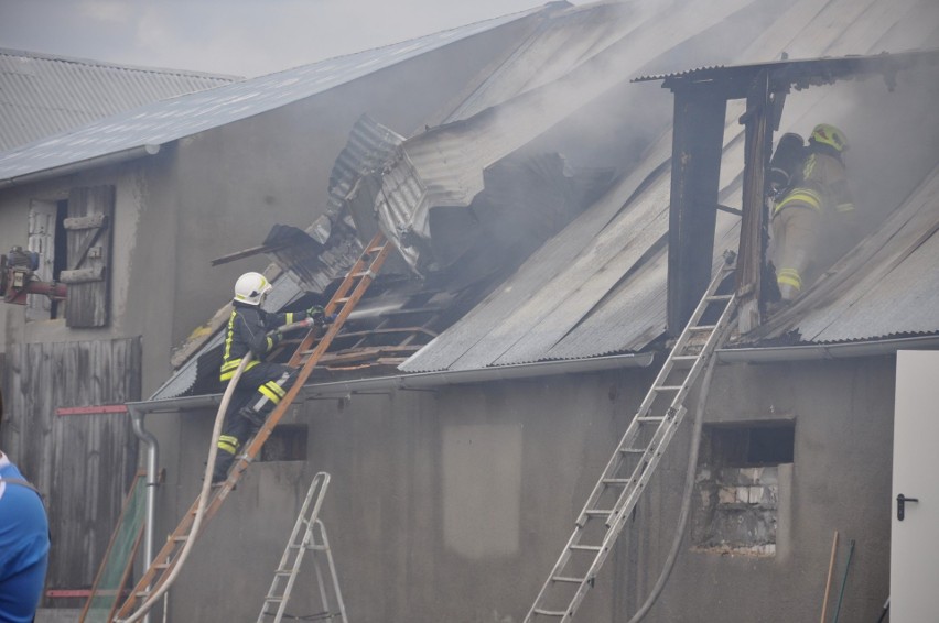 Do gaszenia pożaru stodoły w Sośnie zadysponowano 24...