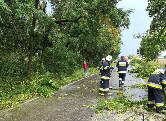 Burza nad Radomiem w obiektywie Joanny Gołąbek oraz...