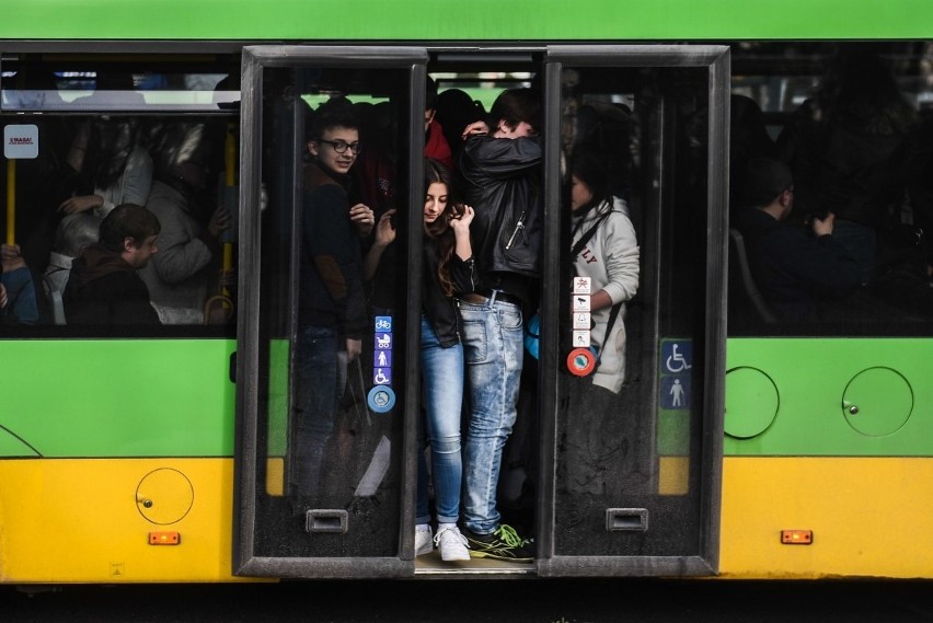 Będzie darmowa komunikacja dla uczniów w Poznaniu. Koalicja...