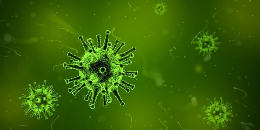 Naukowcy często informują o tym, że niektóre wirusy mogą...