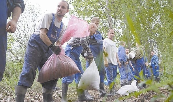 Umacnianie wałów na Metalchemie.