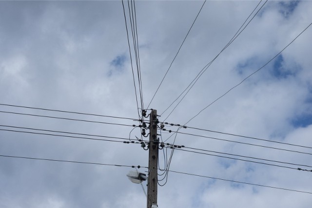 W weekend silny wiatr nawiedził Wielkopolskę. Spadające gałęzie uszkadzają linie energetyczne.