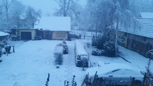 Ten zimowy krajobraz uwiecznił w poniedziałek rano nasz Czytelnik z Białogardu. Tam napadało 2 cm śniegu.