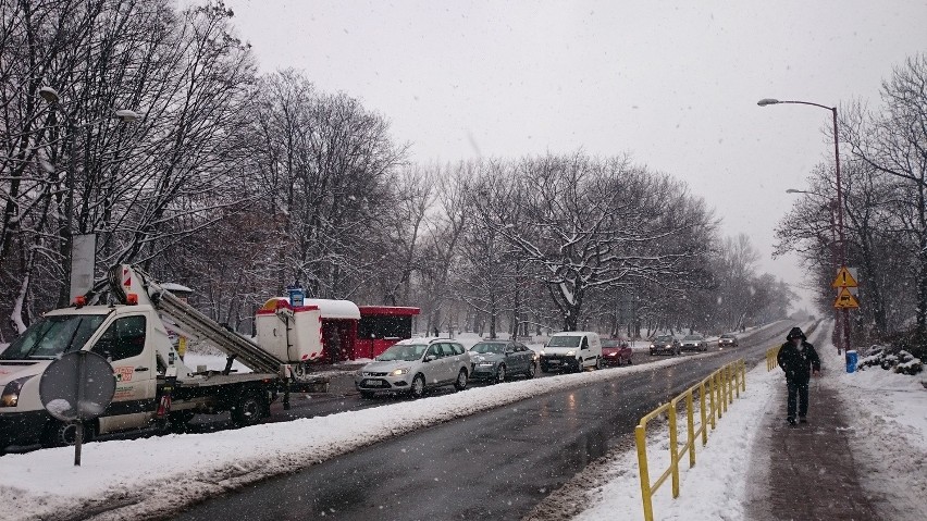 Siemianowice Śląskie zimą [ZDJĘCIA]