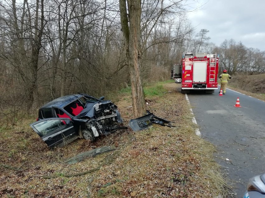 Wypadek w Złotej, renault clio uderzyło w drzewo, 24.11.2020