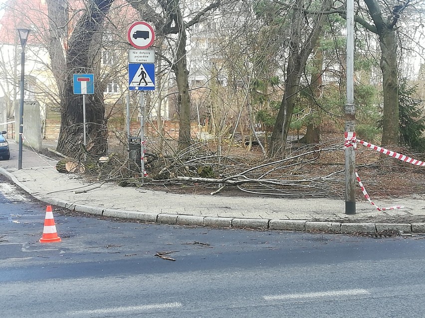 Silny wiatr w regionie. Utrudnienia na drogach i brak prądu [RAPORT]