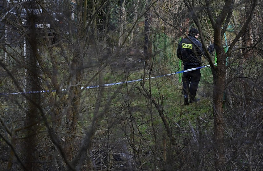 Działania służb ws. Iwony Wieczorek. Policja na działkach w...