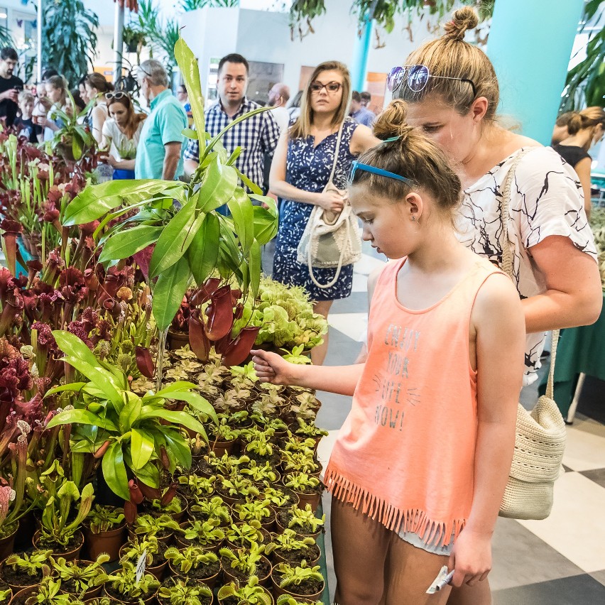 Po raz pierwszy w Bydgoszczy zagościł festiwal roślin...