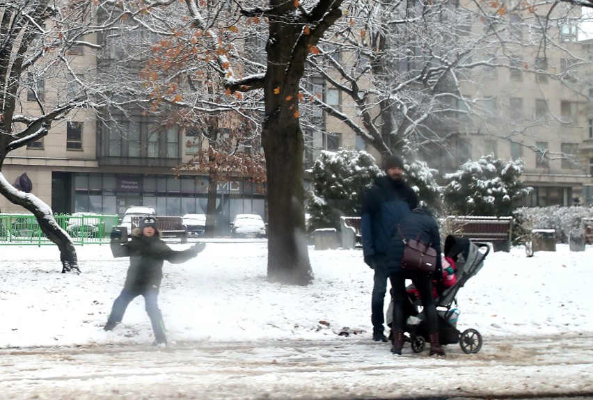 Pierwszy śnieg w Szczecinie! W końcu sypnęło białym puchem [ZDJĘCIA]