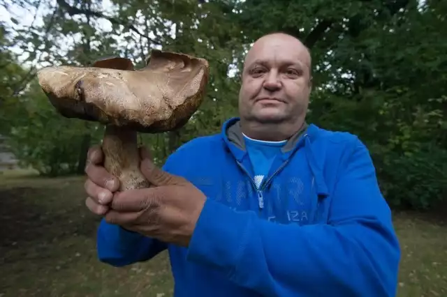 Taaakiego prawdziwka znalazł mieszkaniec Chojen