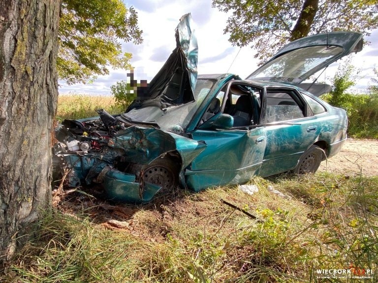 Na trasie Komierówko-Sępólno mazda uderzyła w drzewo....