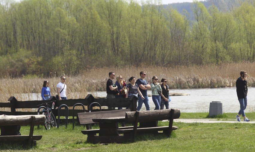 Rzeszowianie korzystają z pięknej pogody, wypoczywając na bulwarach i Lisiej Górze [ZDJĘCIA]