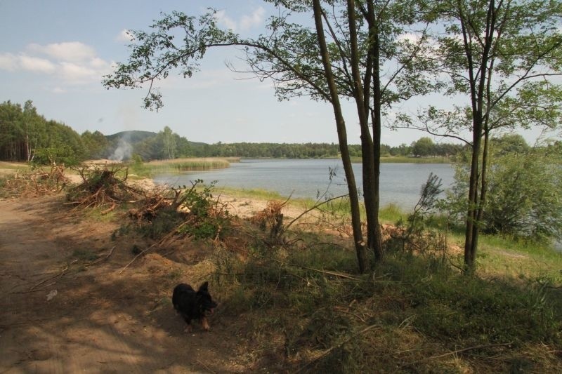 Porządkowanie terenu nad zalewem w Bolminie