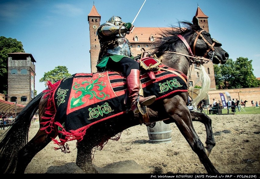 Vivat Vasa  - w Gniewie spotkają się miłośnicy żywej...