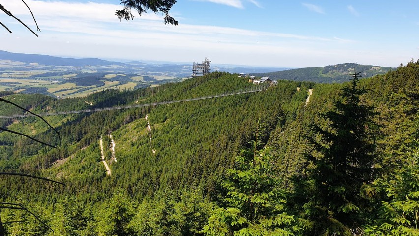 Wejście na wiszący most, wieżę widokową - ścieżka w chmurach...