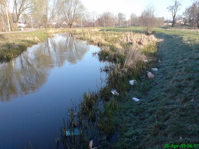 Zaśmiecone Suwalki