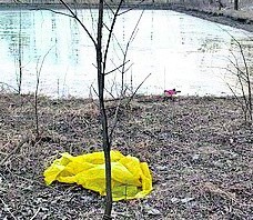 19 marca 2010 r.Obok stawu hodowlanego Mewa na peryferiach Cieszyna znaleziono ciało około 2-letniego chłopca. Nikt go nie szukał. nikt nie zgłosił zaginięcia dziecka. Rozpoczęło się śledztwo i ustalania tożsamości dziecka.