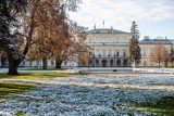 Park Czartoryskich w Puławach szykuje się do zimowego snu? To ostatni taki spacer w tym sezonie. Zobacz zdjęcia!