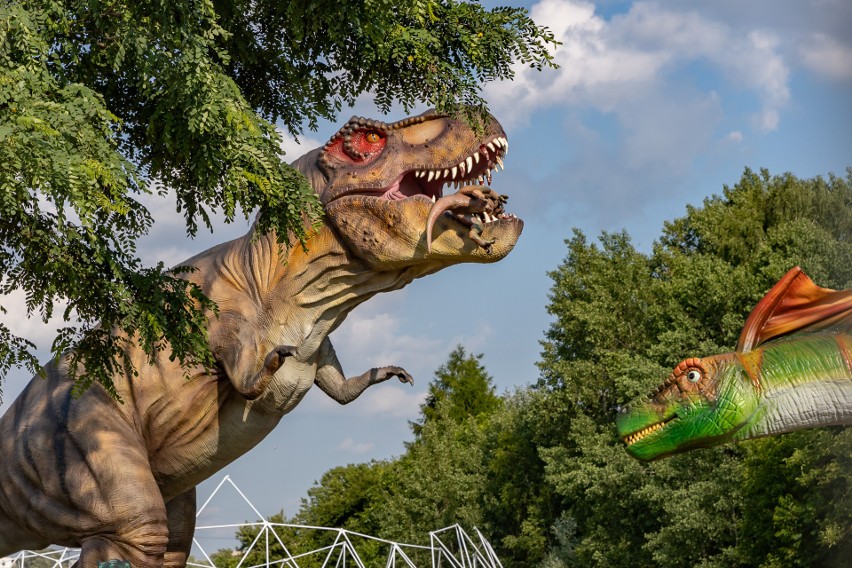 Dinoworld powstaje w Krakowie. Otwarcie parku dinozaurów już...