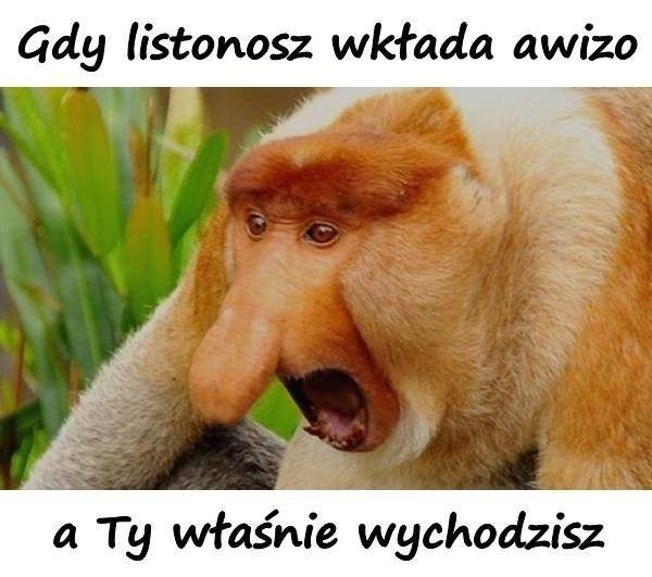 Dziś Dzień Listonosza. Zobacz najśmieszniejsze memy o...