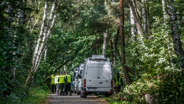 Park Reagana w Gdańsku. Poszukiwania na obszarze leśnym we wrześniu 2017 r.