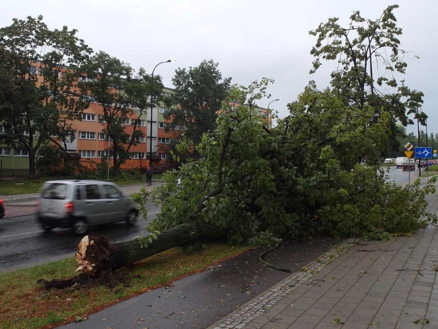 Burza w Łodzi. Nawałnica nad Łodzią. Powalone drzewa, gałęzie na drogach, zalane ulice [ZDJĘCIA]