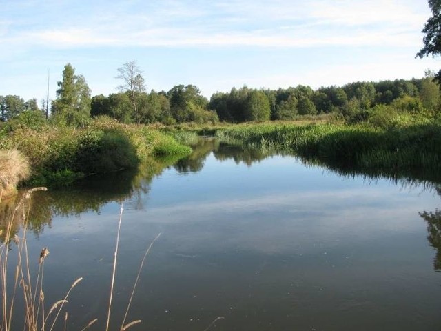 Wody Drzewiczki będą skierowane do napełnienia zbiornika, jaki powstanie w pobliżu Odrzywołu.