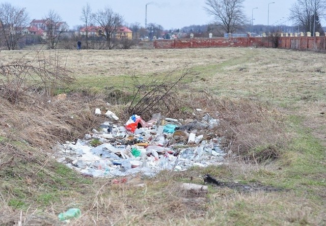 Szukamy dzikich wysypisk śmieci. Na zdjęciu odpady za murem dzikowskim w Tarnobrzegu.