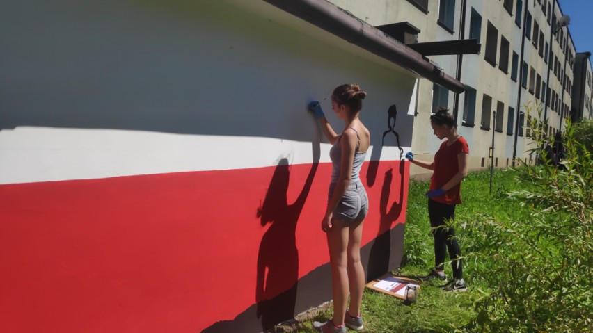 Patriotyczne murale w Jastrzębiu. Pojawiły się na garażach...