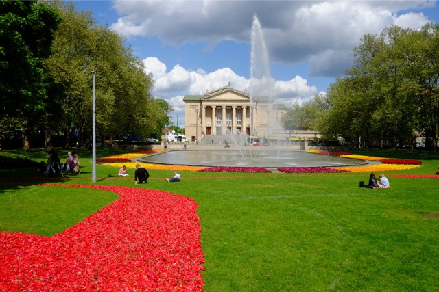 07.05.2015 poznan aw teatr wielki tulipany dywan. glos wielkopolski. fot. adrian wykrota/polska press