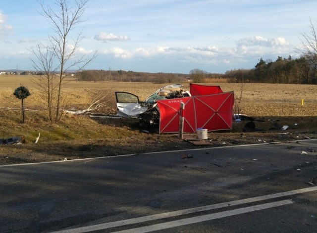 Do wypadku doszło na DK 45 koło Rogowa Opolskiego.