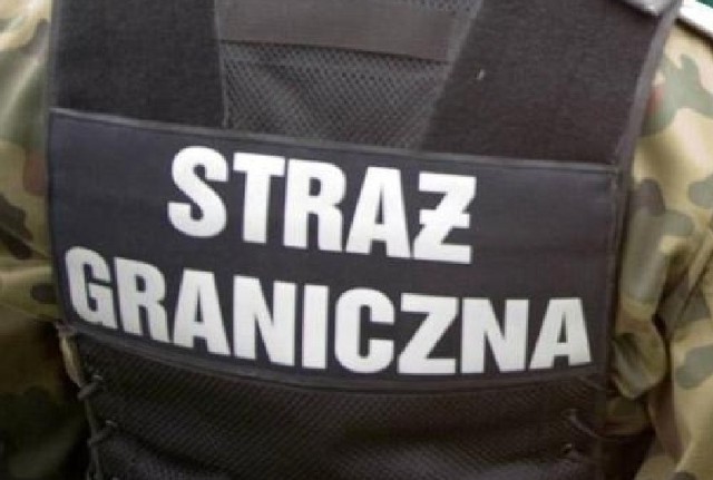 Strażnicy graniczni udaremnili wywóz z Polski części pochodzących z kradzionych samochodów.