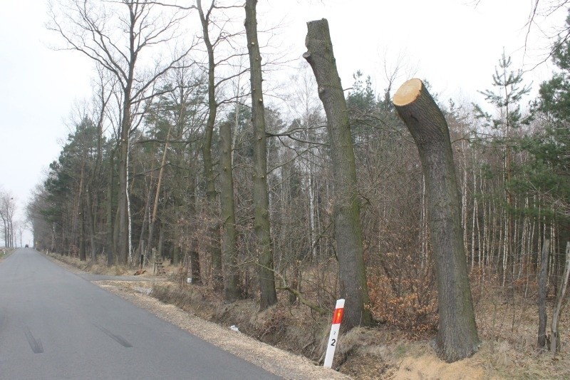 Upiornie wygląda świeżo wyremontowana  droga powiatowa z...