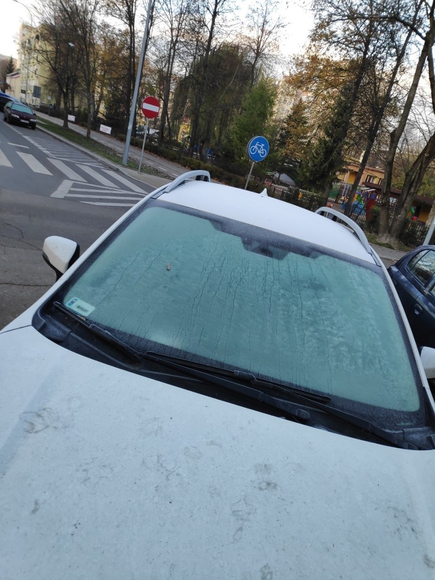 Podlaskie. Zimny poranek na koniec października. Pierwszy przymrozek tej jesieni. Pogoda [30.10.2019]