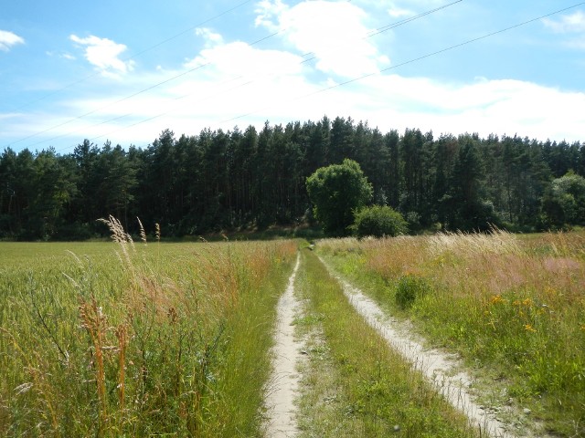 Droga na Czarną Górę w paśmie Gór Obkaskich z miejscowości Dąbrówka
