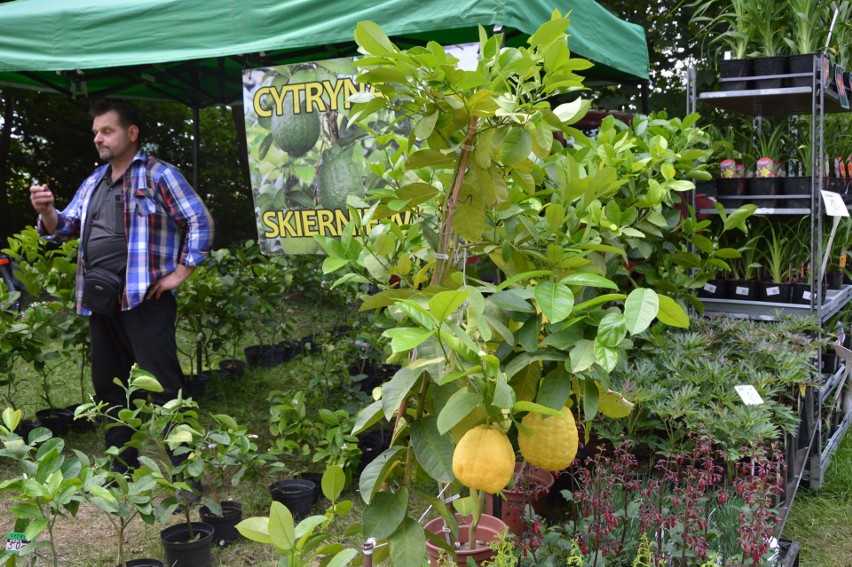 XXVIII Targi Rolnicze AGRO-TARG 2022 w Kalsku.