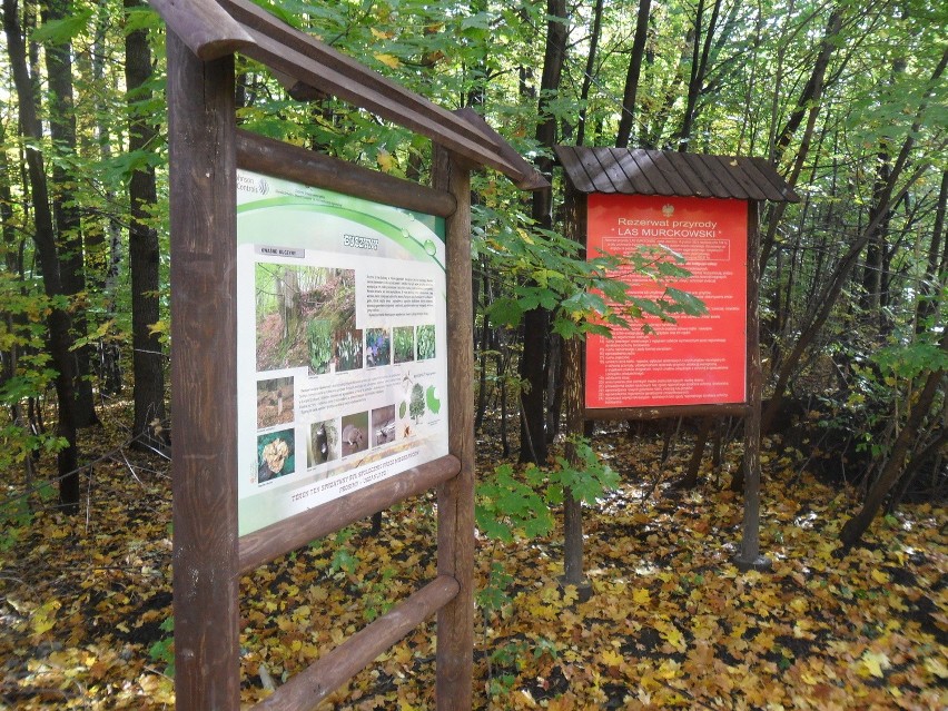 RAŚ stawia tablice edukacyjne. W katowickich Murckach tablica już stoi [ZDJĘCIA]