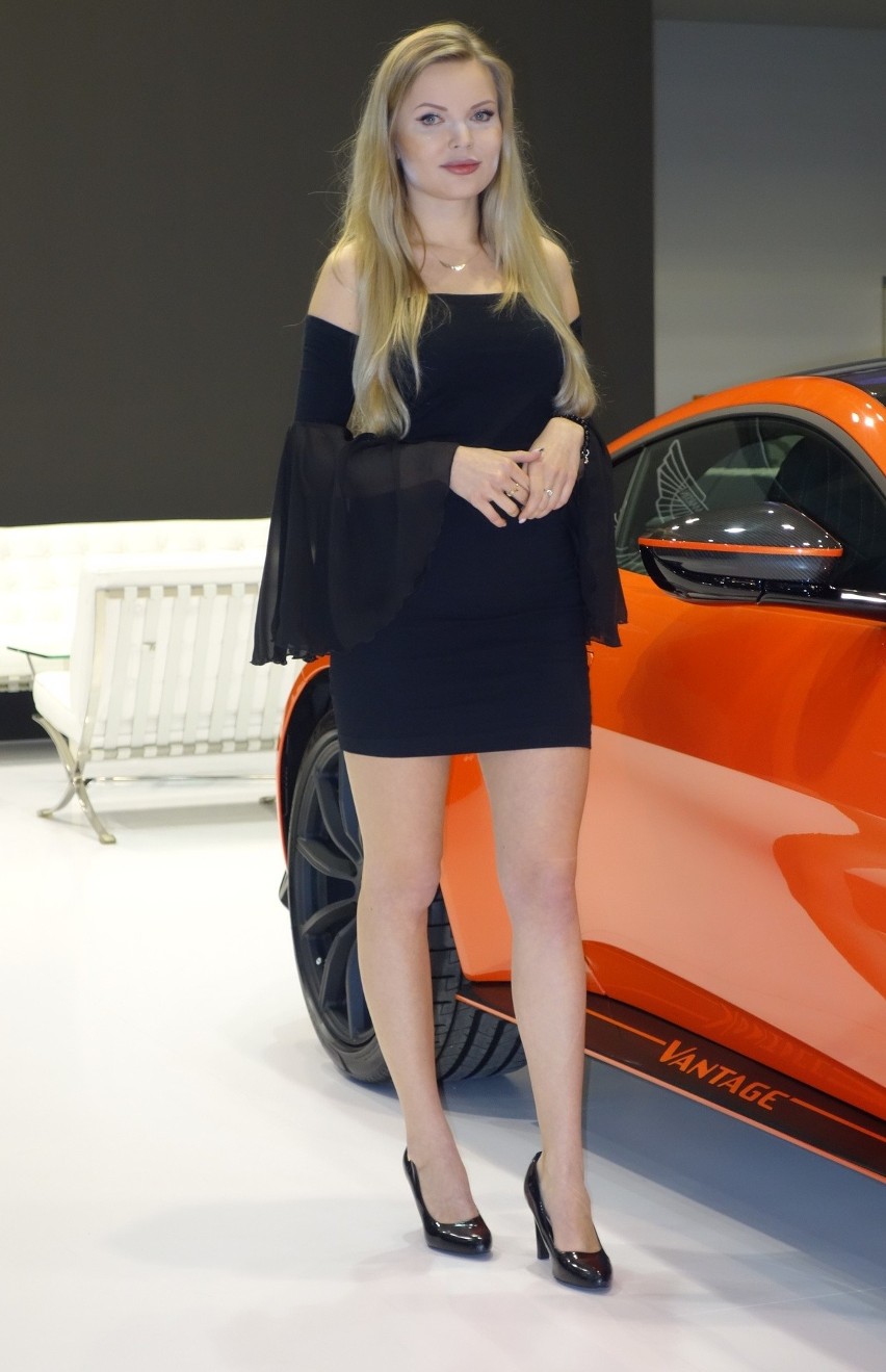 Poznań Motor Show 2019...