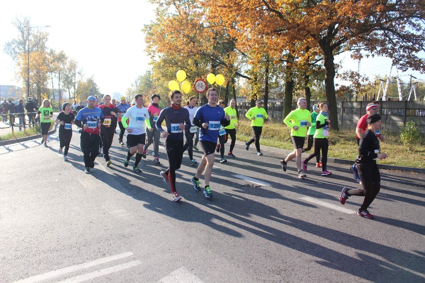 Półmaraton Gliwicki 2016 ZDJĘCIA + WYNIKI