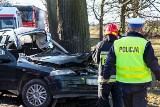 Wypadek na drodze krajowej 22. Auto, którym kierowała 21-latka wypadło z drogi i uderzyło bokiem w drzewo. Dziewczyna zginęła [ZDJĘCIA]