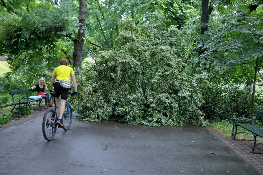 Ostrzeżenie meteorologiczne IMGW: Silny porywisty wiatr w...