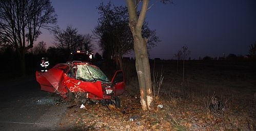 Renault clio zjechał z drogi i uderzył w drzewo.