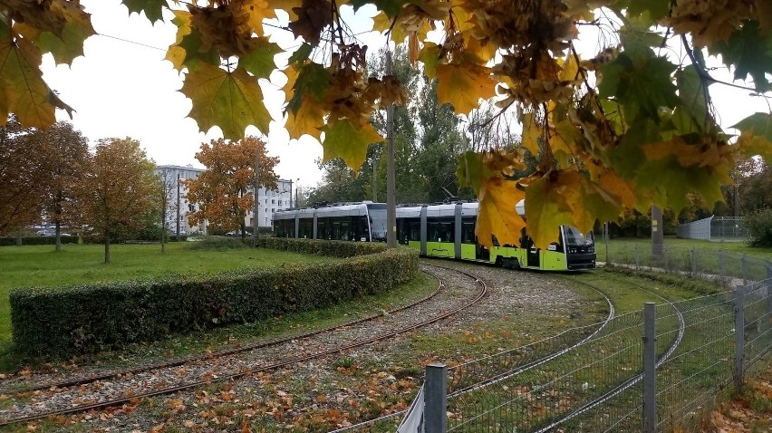 Po raz ostatni na pętlę Silwana tramwaje wjechały w...