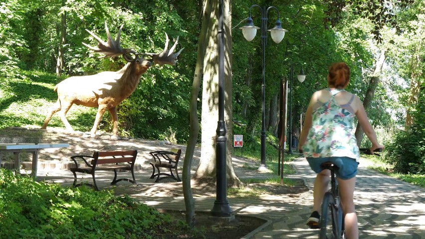 Rowerem przez region. Program promujący ścieżki rowerowe na Pomorzu Zachodnim 