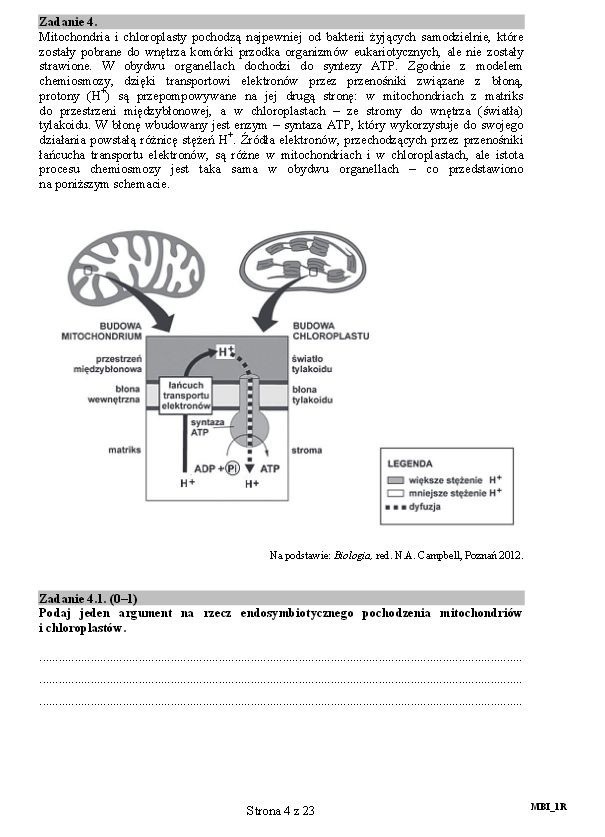 Matura BIOLOGIA 2015 już dziś! [ARKUSZE, odpowiedzi