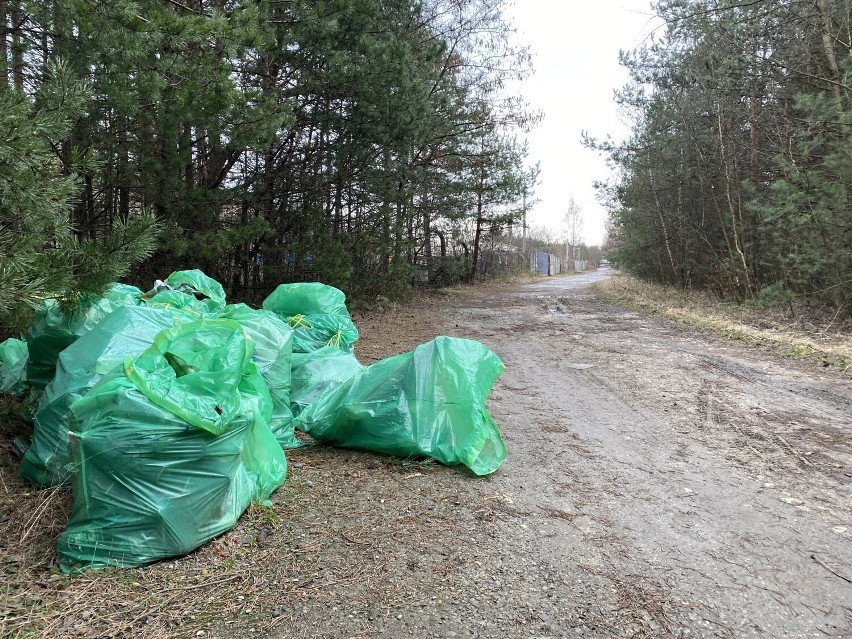 Śmieci w lasach powiatu olkuskiego